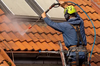 Démoussage et hydrofuge de toiture à Pessans